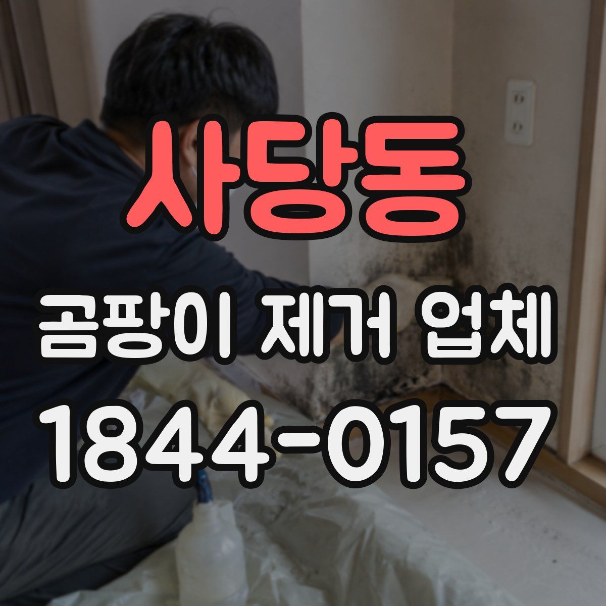 사당동 곰팡이 제거 업체