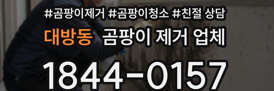 대방동 곰팡이 제거 업체