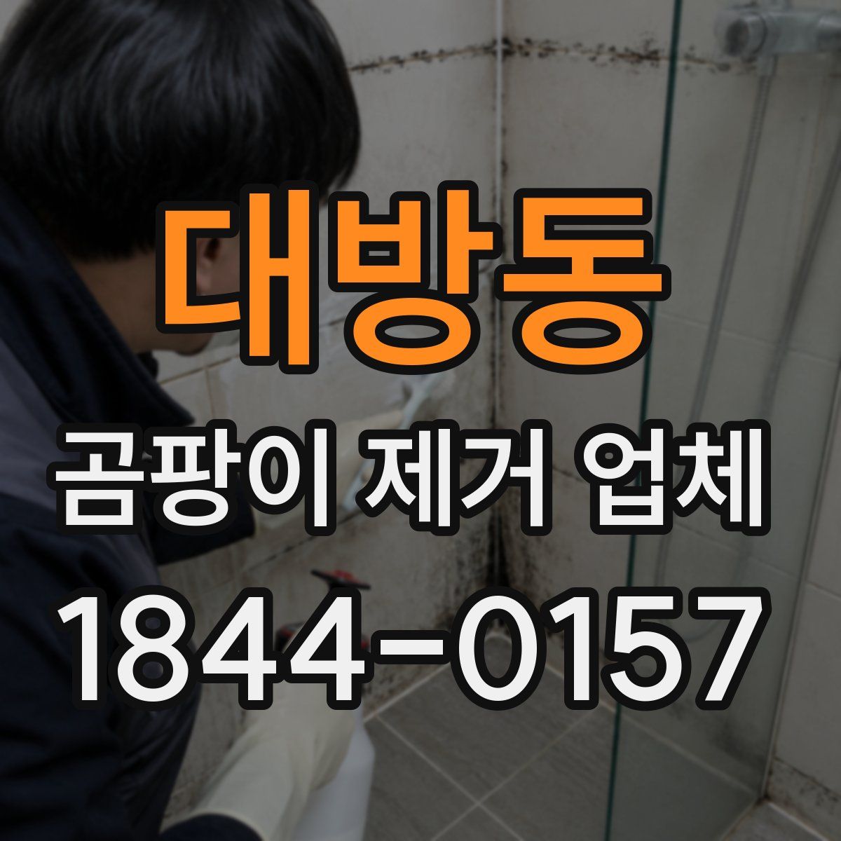 대방동 곰팡이 제거 업체