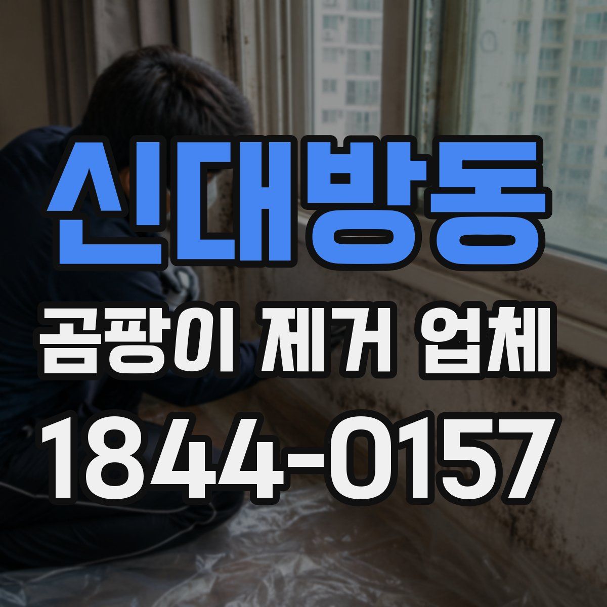 신대방동 곰팡이 제거 업체