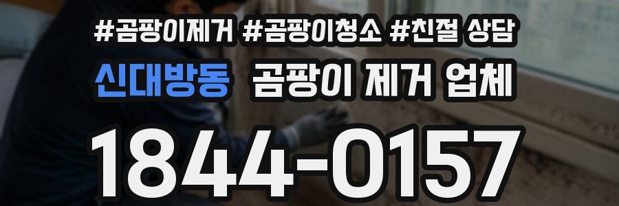 신대방동 곰팡이 제거 업체