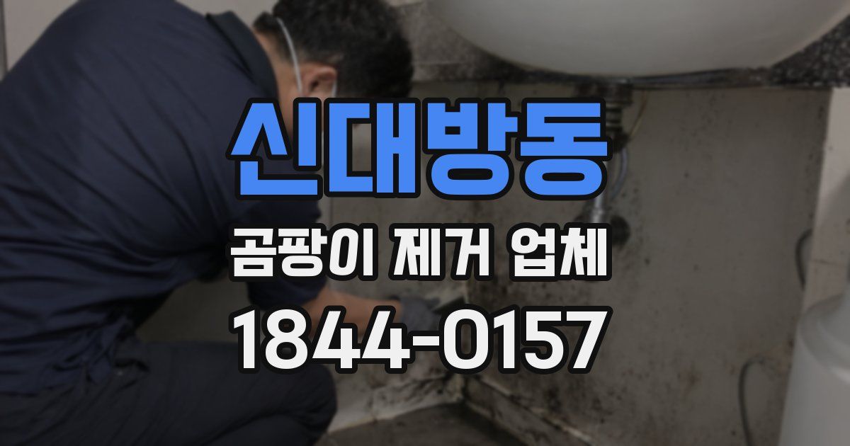 신대방동 곰팡이 제거 업체