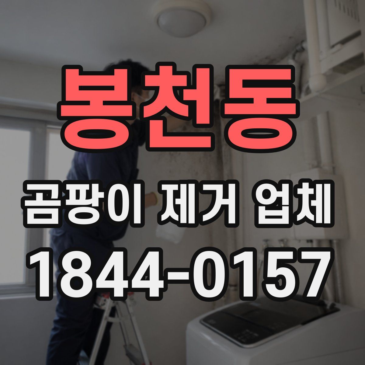 봉천동 곰팡이 제거 업체