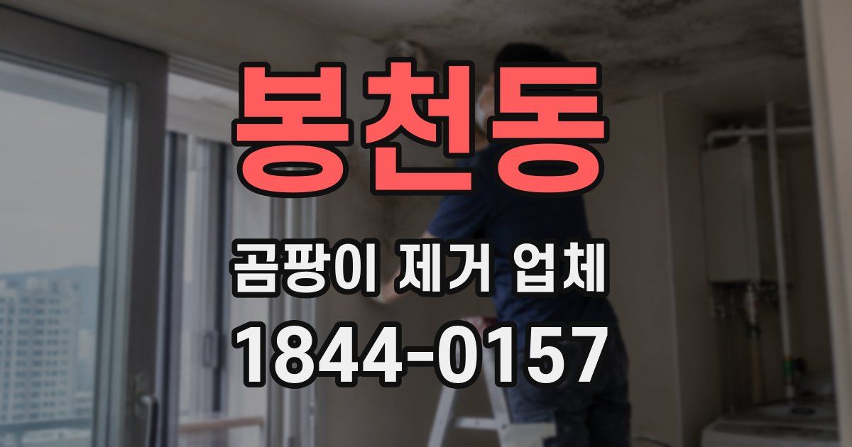 봉천동 곰팡이 제거 업체