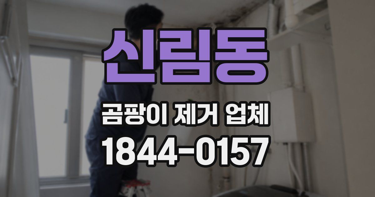 신림동 곰팡이 제거 업체