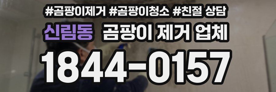 신림동 곰팡이 제거 업체