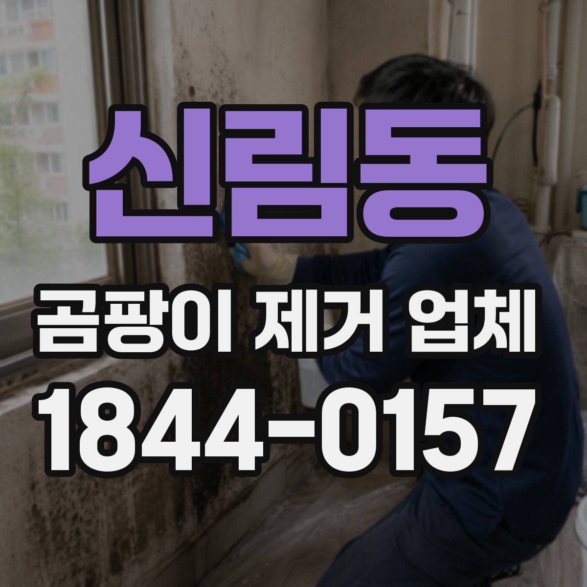 신림동 곰팡이 제거 업체