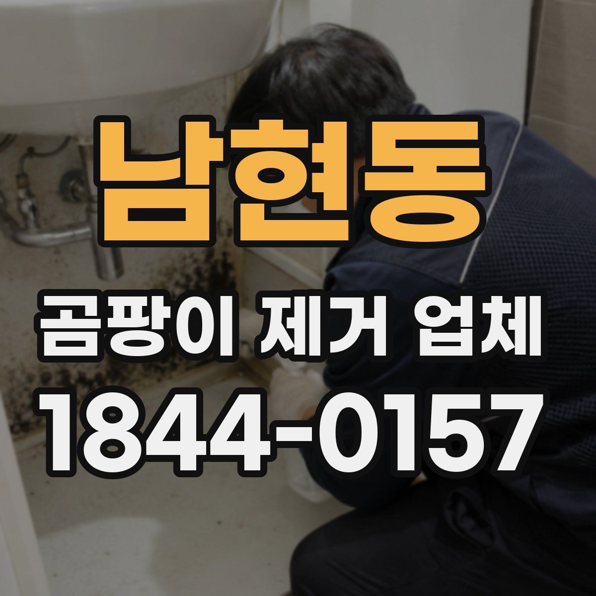 남현동 곰팡이 제거 업체