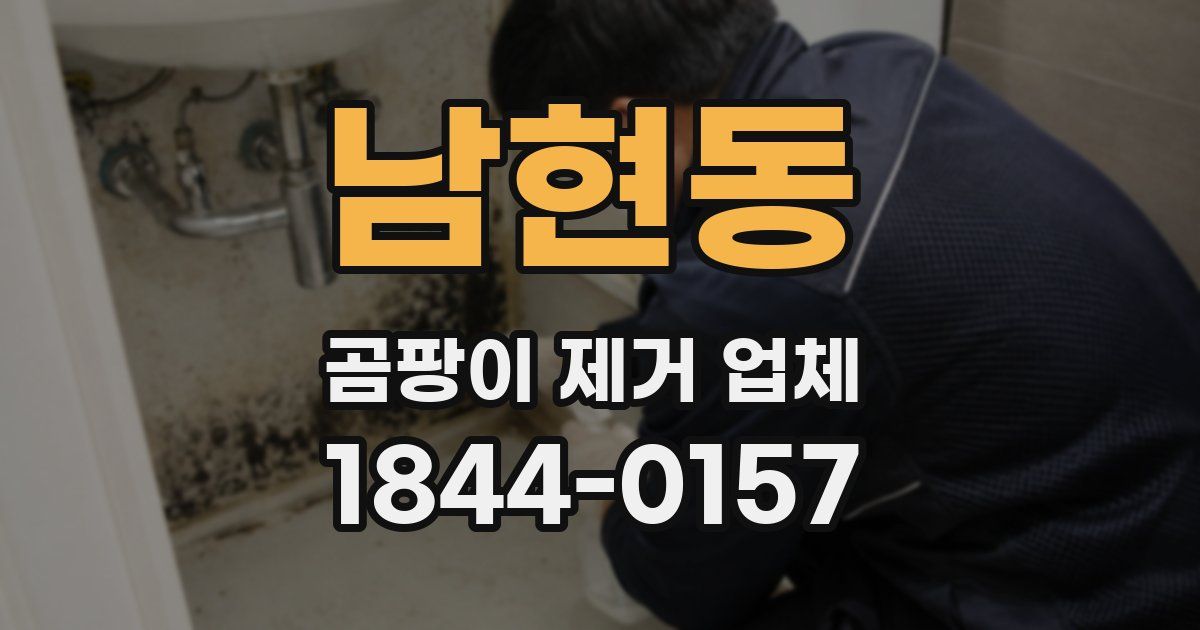 남현동 곰팡이 제거 업체