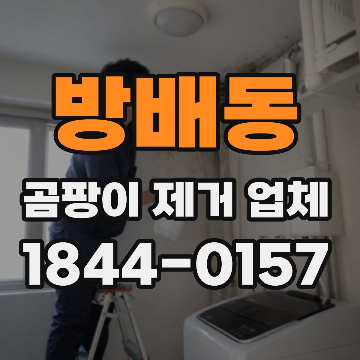 방배동 곰팡이 제거 업체