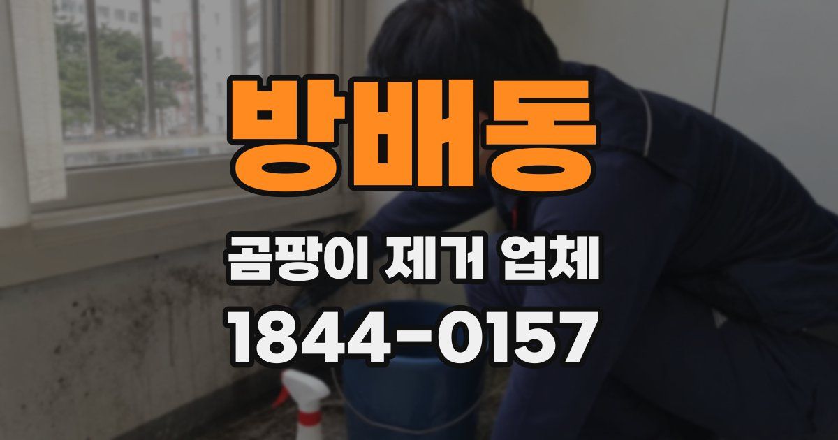 방배동 곰팡이 제거 업체