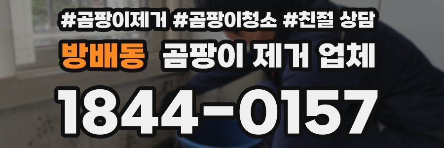 방배동 곰팡이 제거 업체