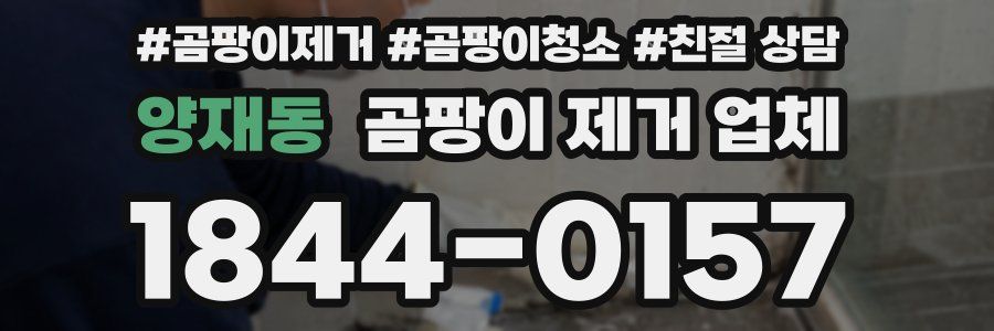 양재동 곰팡이 제거 업체