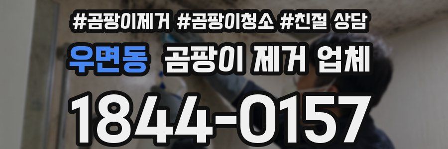우면동 곰팡이 제거 업체