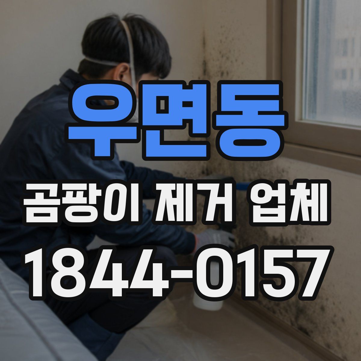 우면동 곰팡이 제거 업체