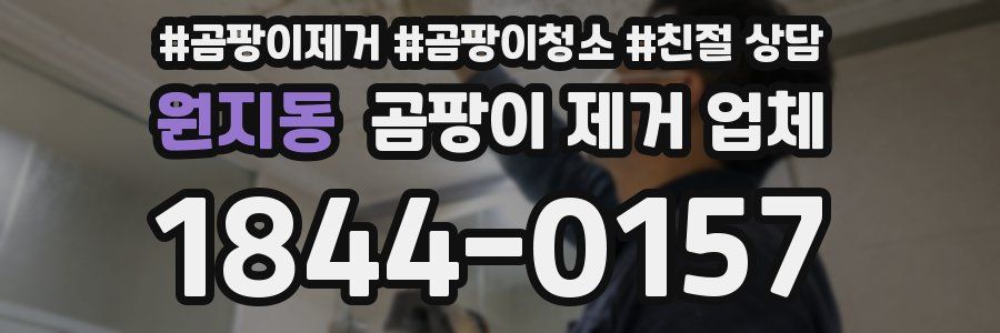 원지동 곰팡이 제거 업체