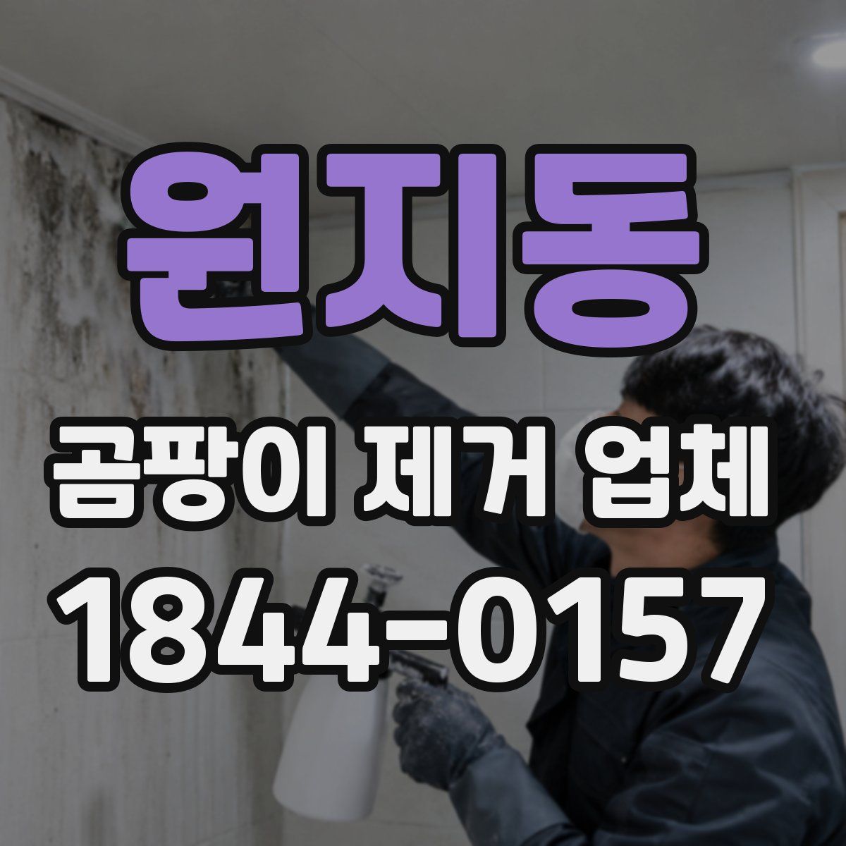 원지동 곰팡이 제거 업체