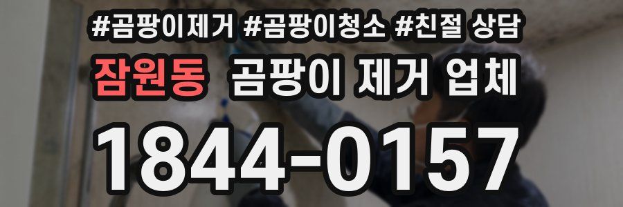 잠원동 곰팡이 제거 업체