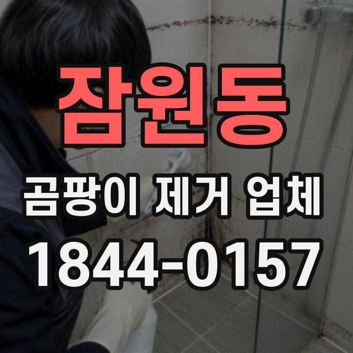 잠원동 곰팡이 제거 업체