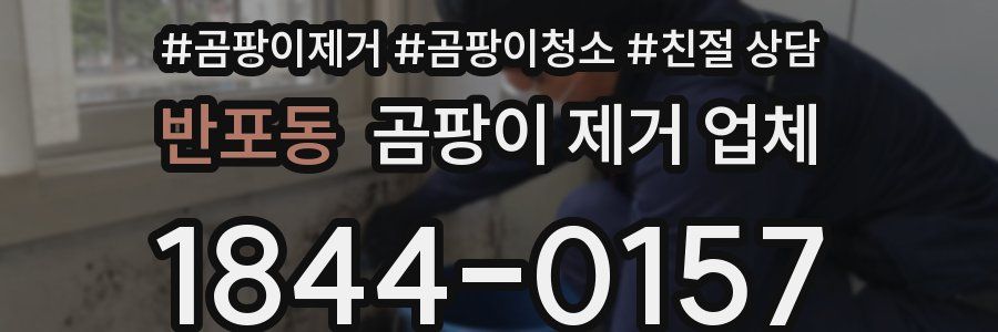 반포동 곰팡이 제거 업체