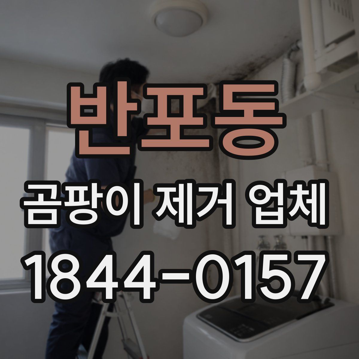 반포동 곰팡이 제거 업체