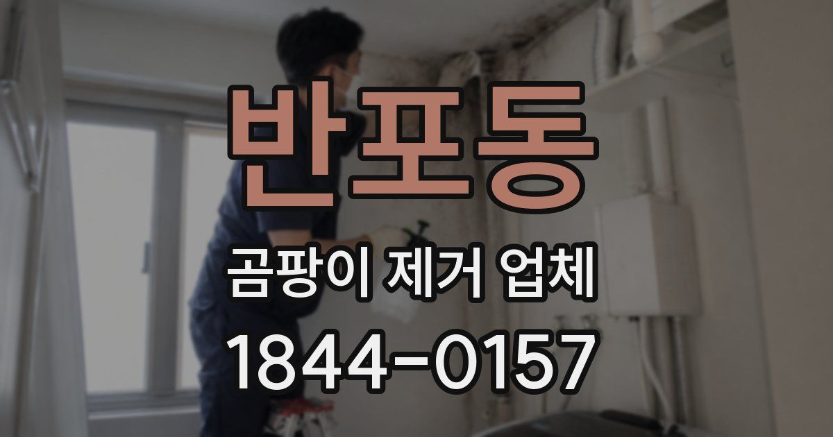 반포동 곰팡이 제거 업체