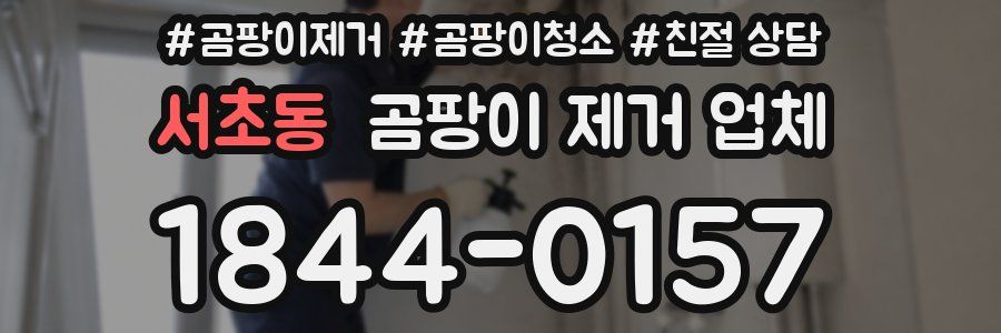 서초동 곰팡이 제거 업체