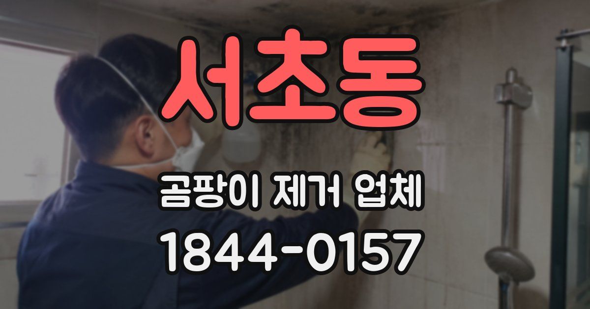 서초동 곰팡이 제거 업체