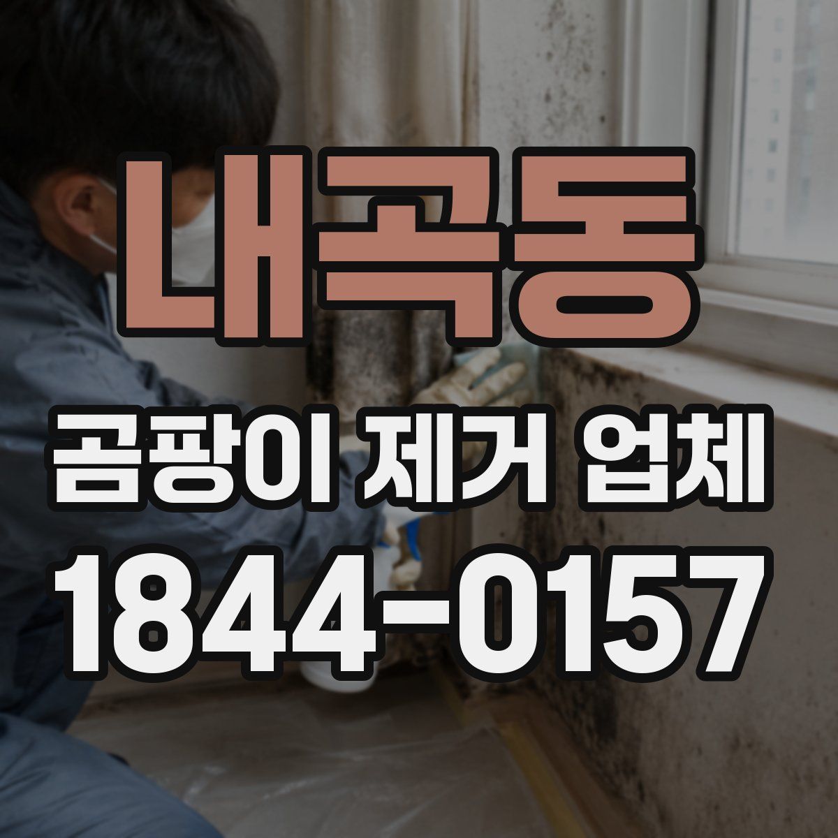 내곡동 곰팡이 제거 업체