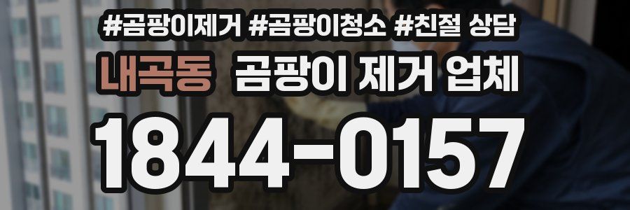 내곡동 곰팡이 제거 업체