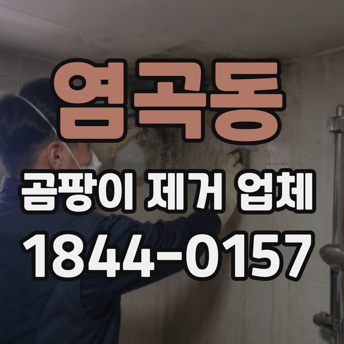 염곡동 곰팡이 제거 업체