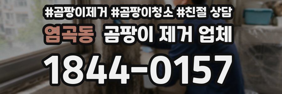 염곡동 곰팡이 제거 업체
