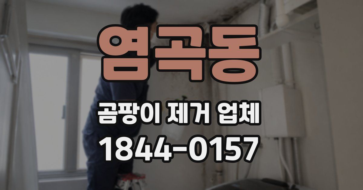 염곡동 곰팡이 제거 업체