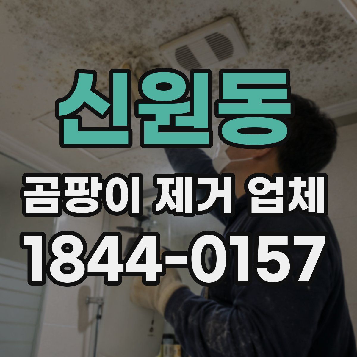 신원동 곰팡이 제거 업체