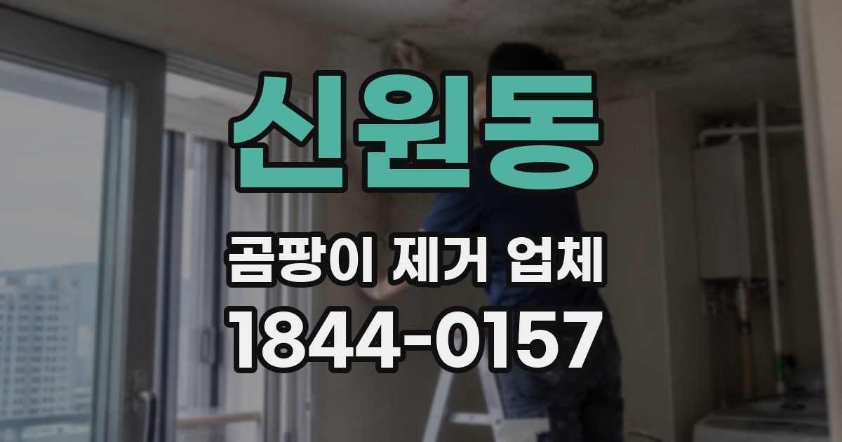 신원동 곰팡이 제거 업체