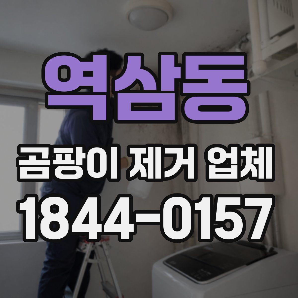역삼동 곰팡이 제거 업체 후기 볼 때 체크해야 할 부분