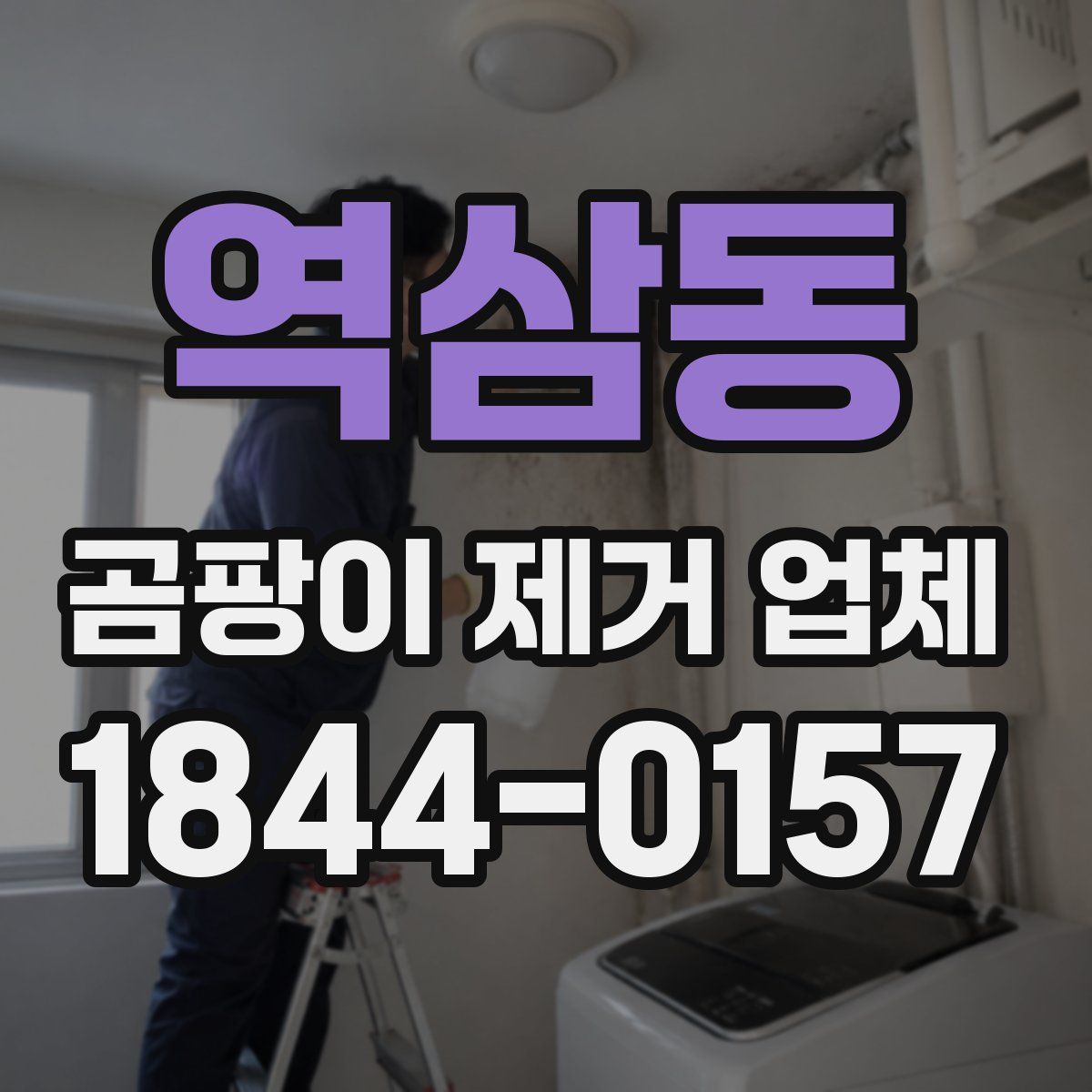 역삼동 곰팡이 제거 업체