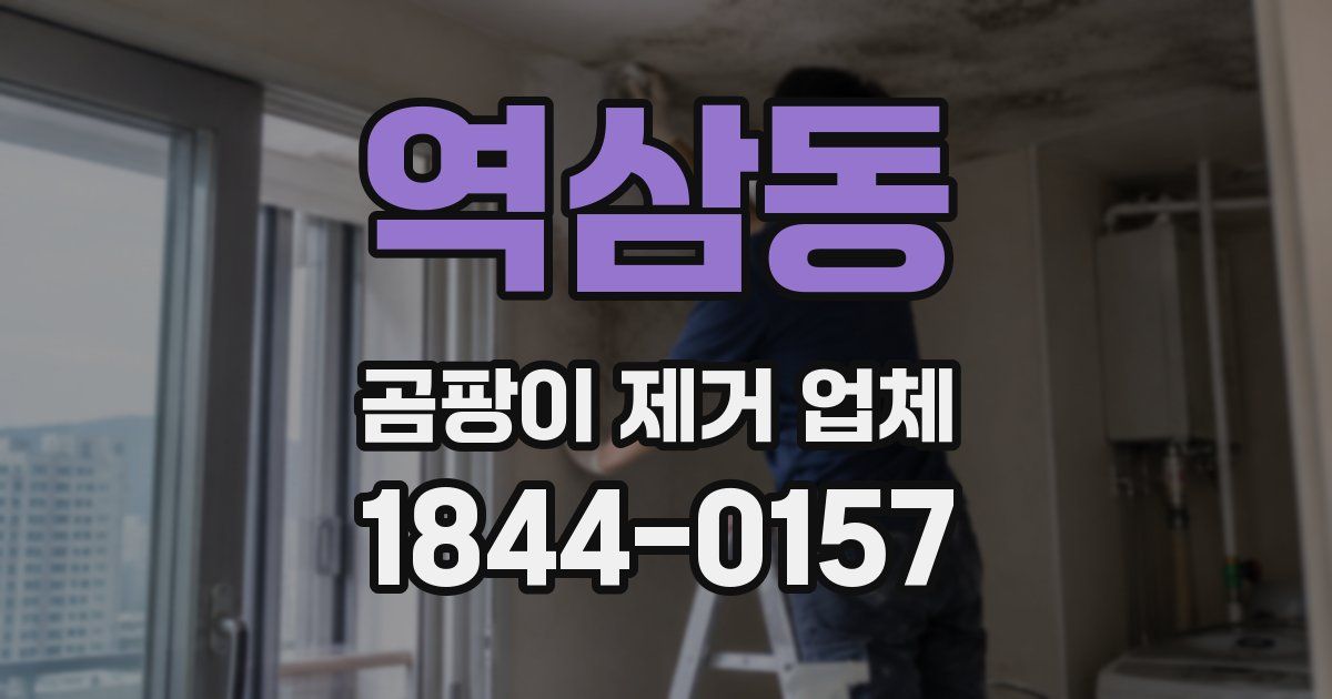 역삼동 곰팡이 제거 업체