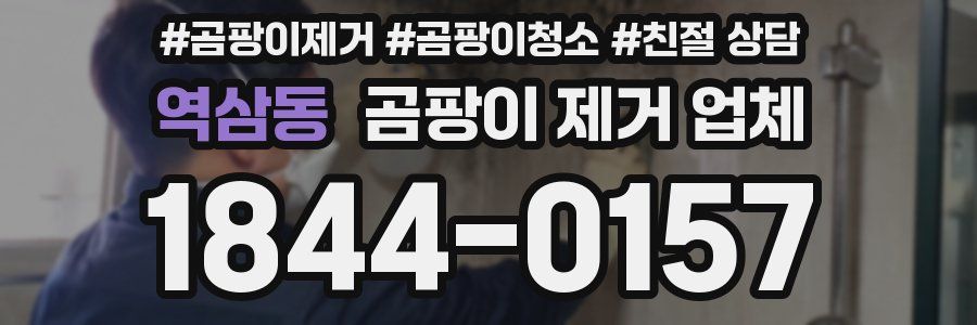 역삼동 곰팡이 제거 업체