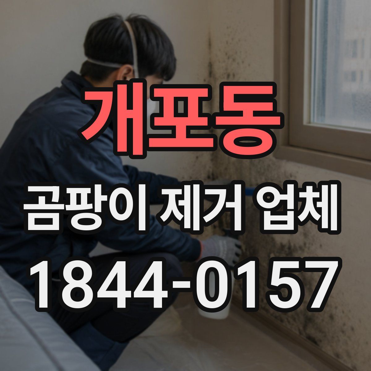 개포동 곰팡이 제거 업체