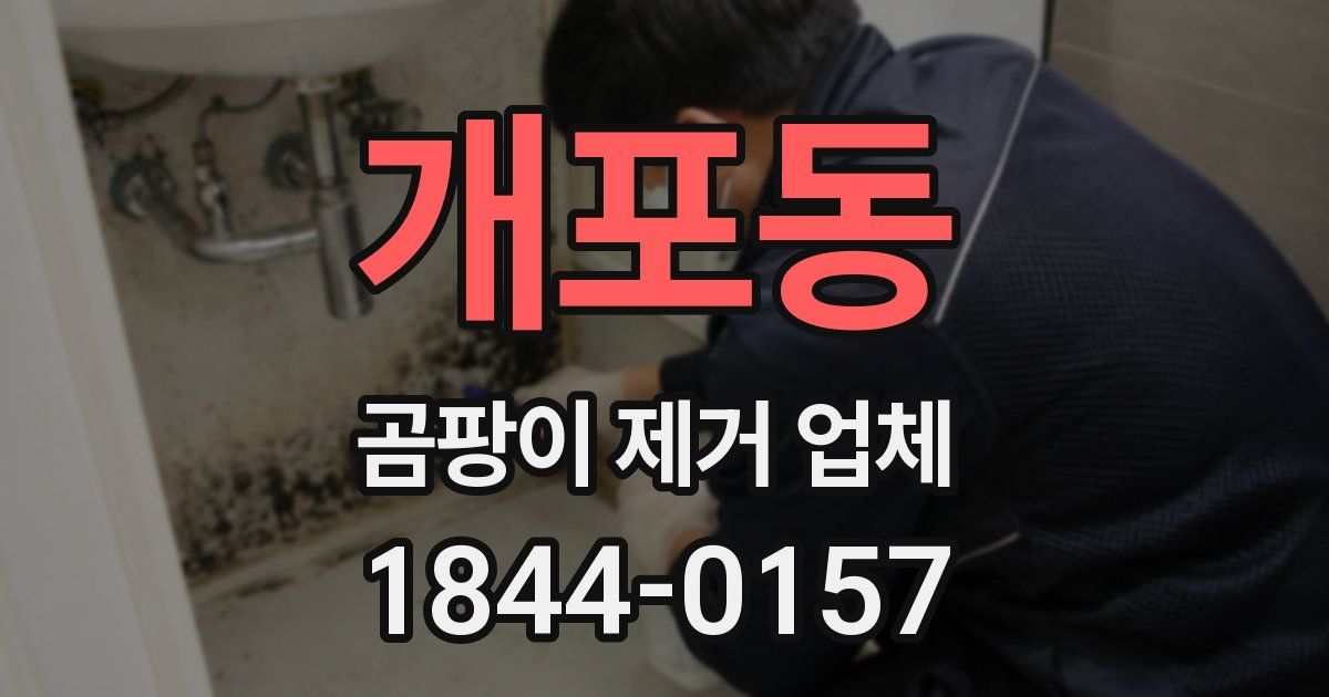 개포동 곰팡이 제거 업체
