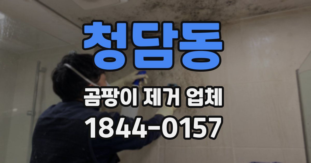 청담동 곰팡이 제거 업체