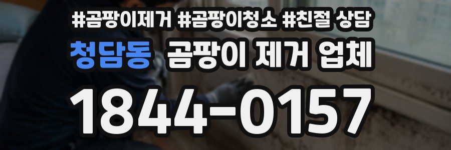 청담동 곰팡이 제거 업체