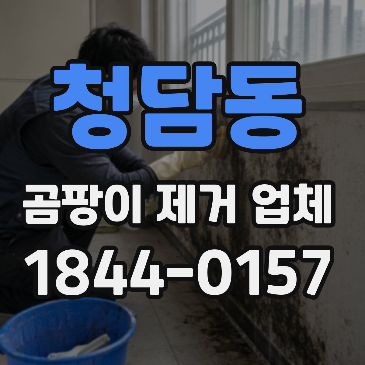 청담동 곰팡이 제거 업체