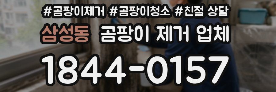 삼성동 곰팡이 제거 업체