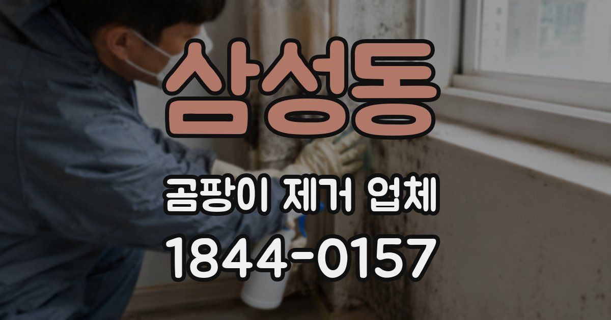 삼성동 곰팡이 제거 업체