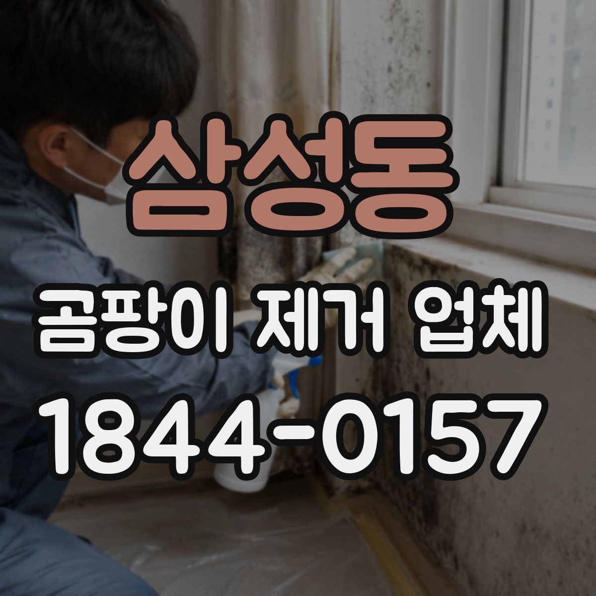 삼성동 곰팡이 제거 업체