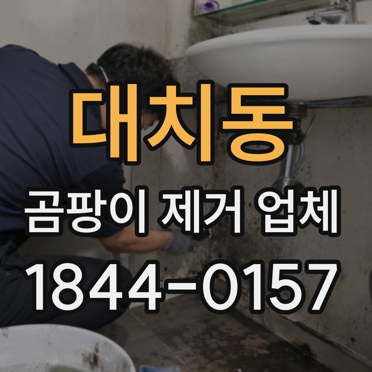 대치동 곰팡이 제거 업체