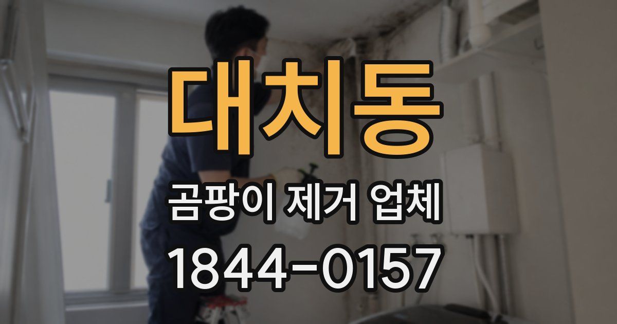 대치동 곰팡이 제거 업체
