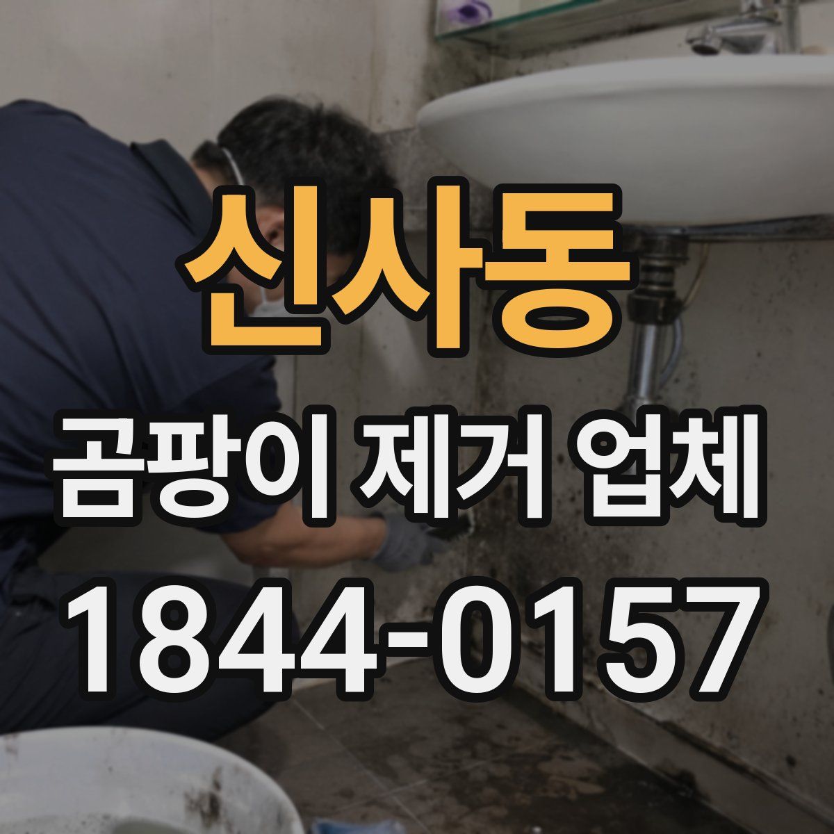 신사동 곰팡이 제거 업체